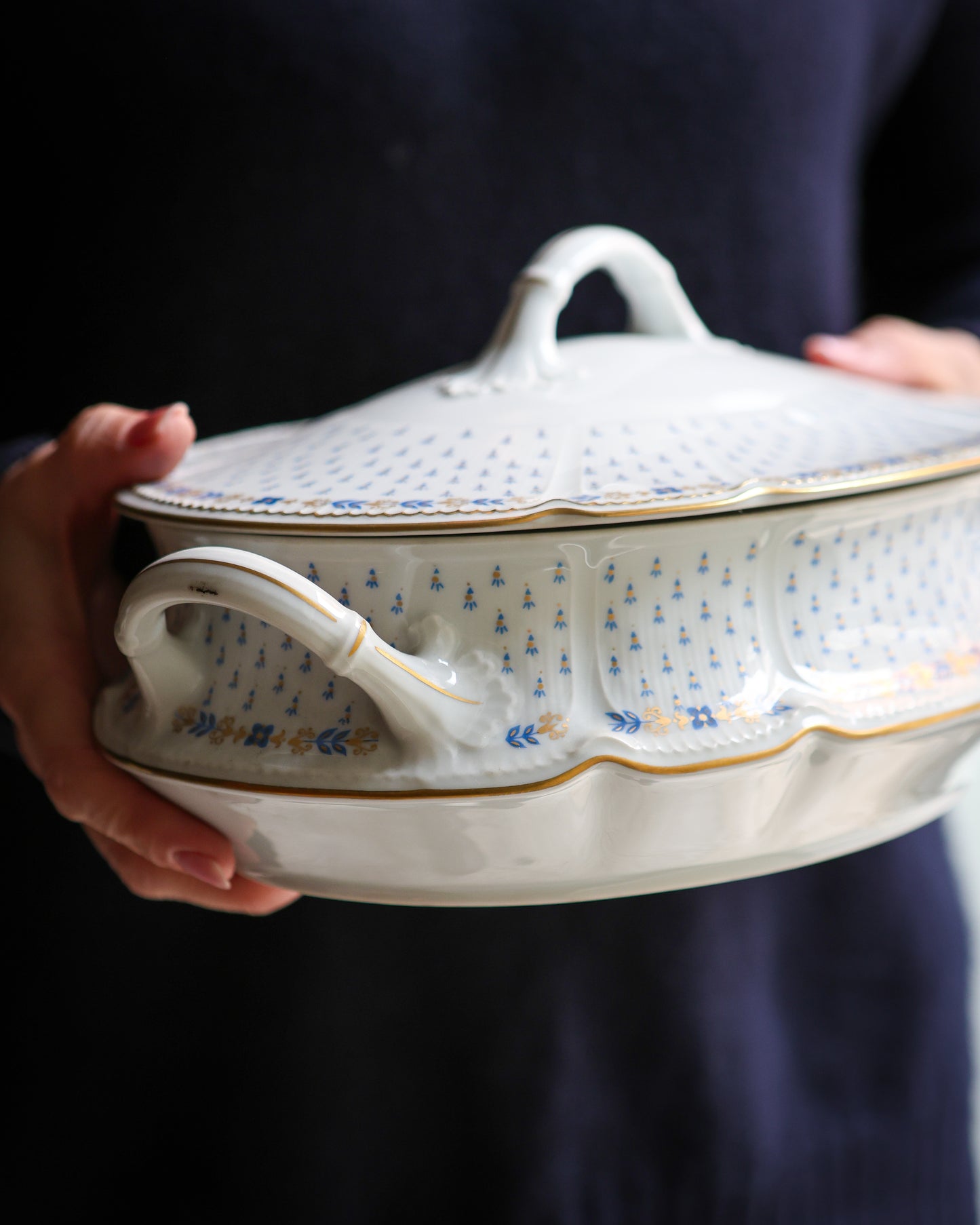 Zuppiera Royal Limoges modello la fajetta ovale