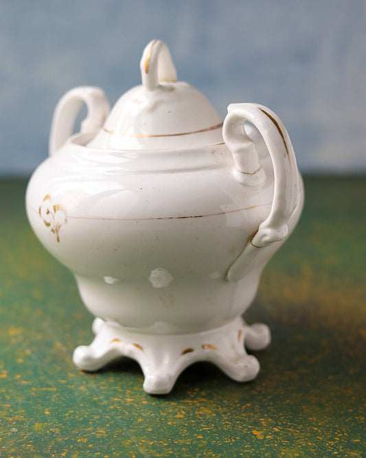 Zuccheriera Vittoriana in Porcellana Inglese con Decorazione Floreale Aurea Dipinta a Mano – Inizio '800