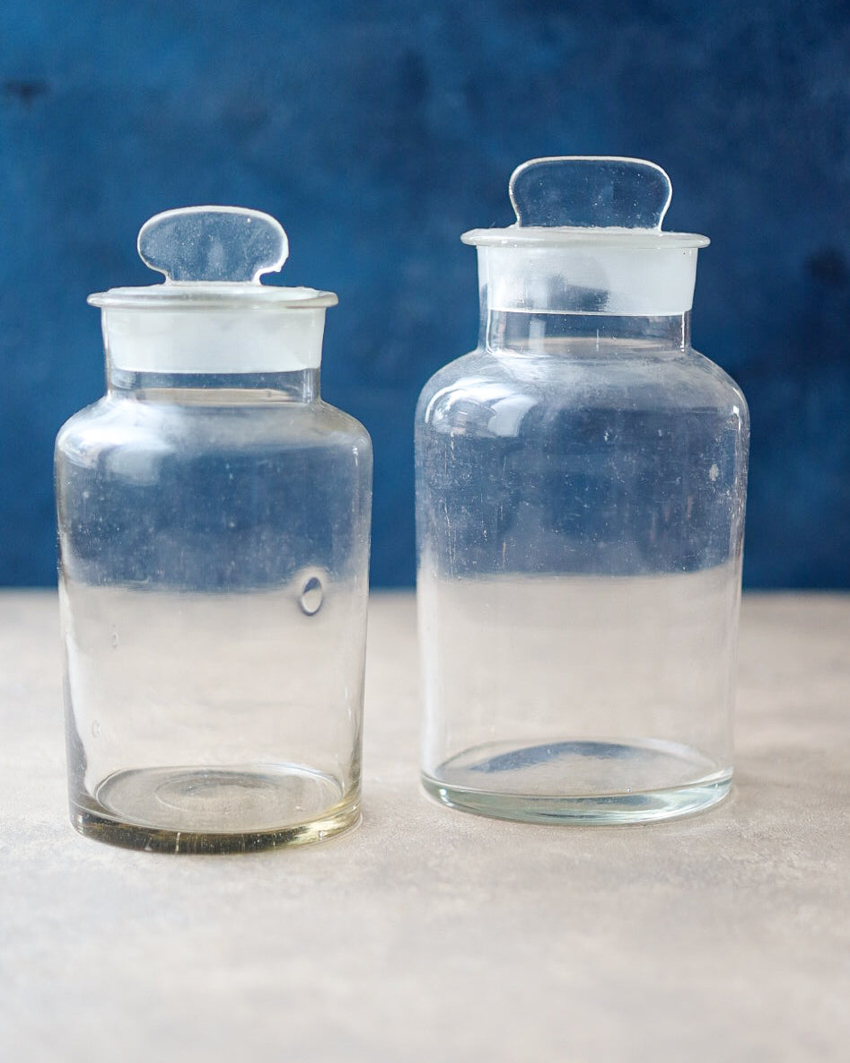coppia di vasi da farmacia in vetro