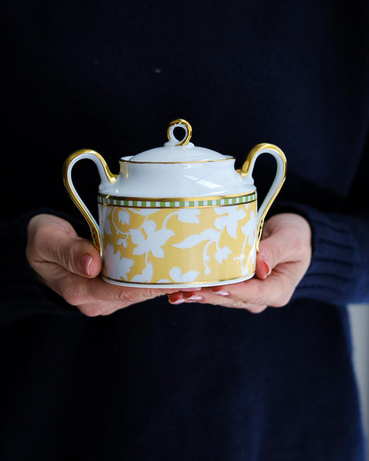 Servizio da caffè espresso da 12 richard Ginori impero modello delhi