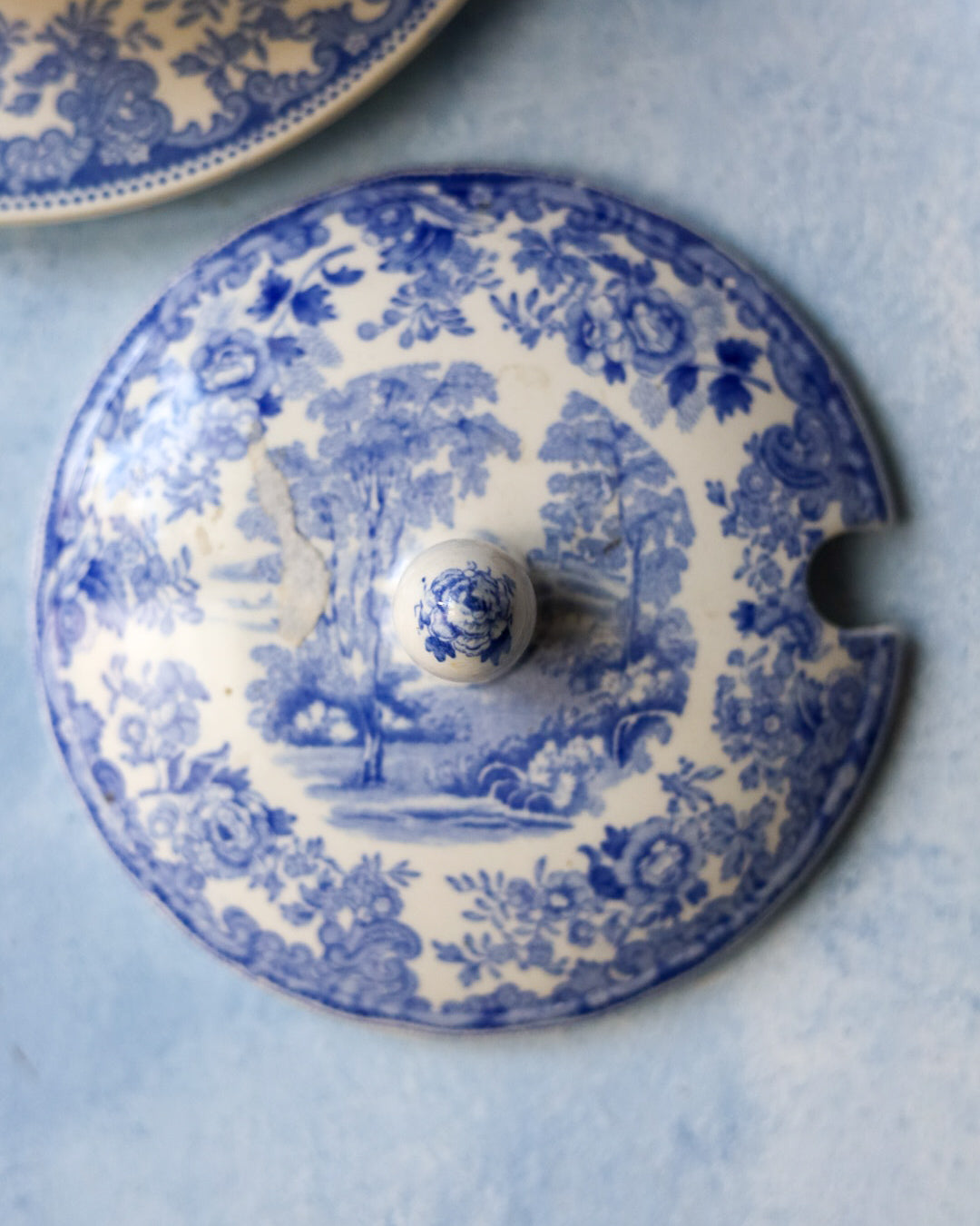 Salsiera tonda spode con coperchio paesaggio transfer
