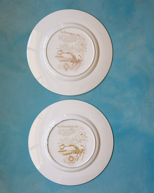 Collezione Completa "I Mesi dell'Anno" – 12 Piatti Decorativi Caverswall in Bone China con Illustrazioni Naturalistiche