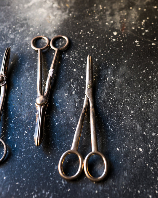 Forbici inglesi per uva