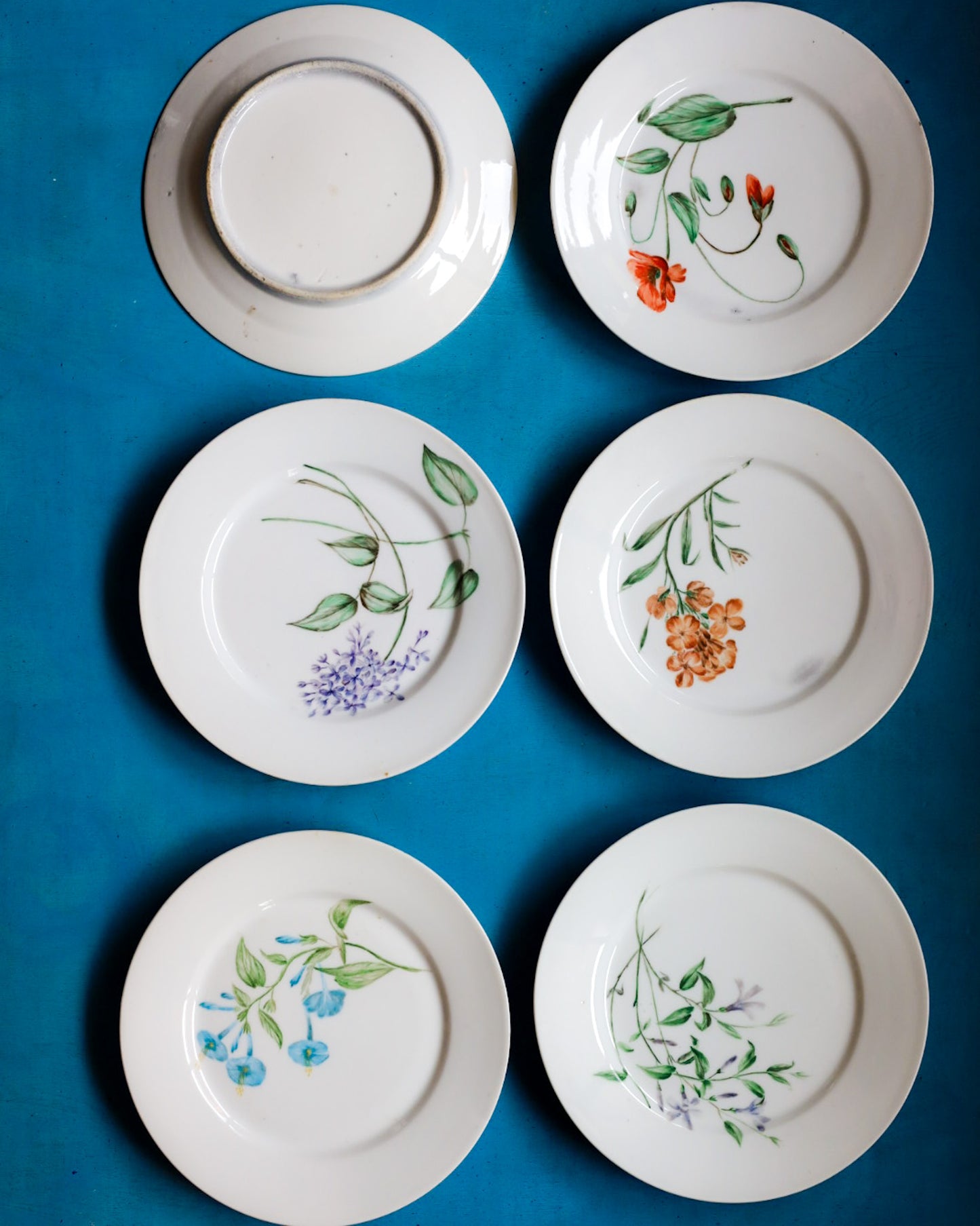 Set di sei piatti porcellana limoges dipinti a mano