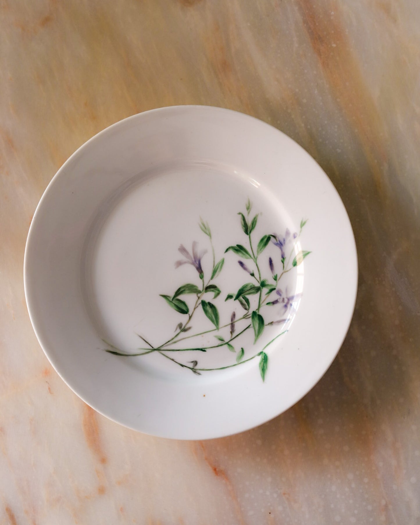 Set di sei piatti porcellana limoges dipinti a mano
