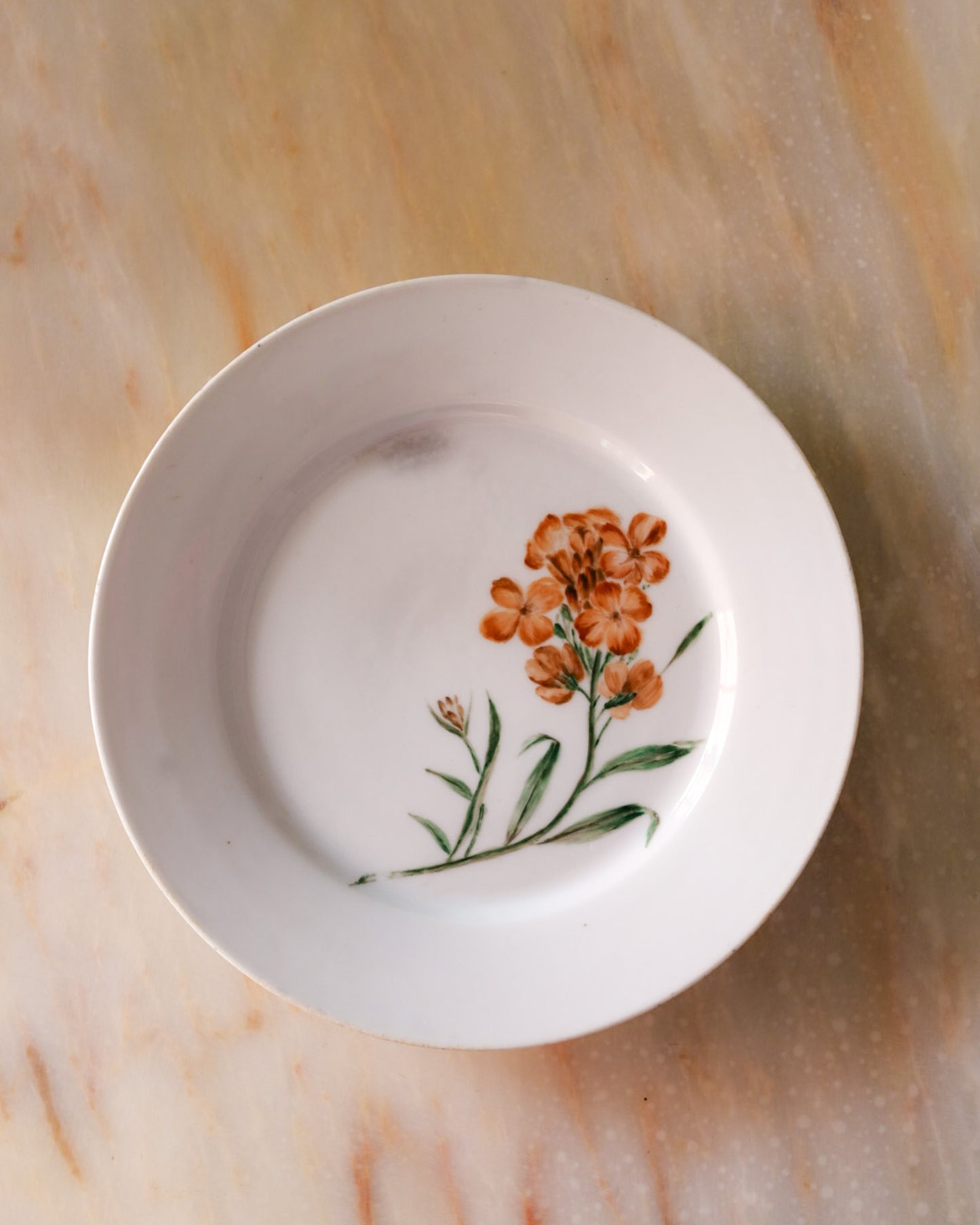 Set di sei piatti porcellana limoges dipinti a mano