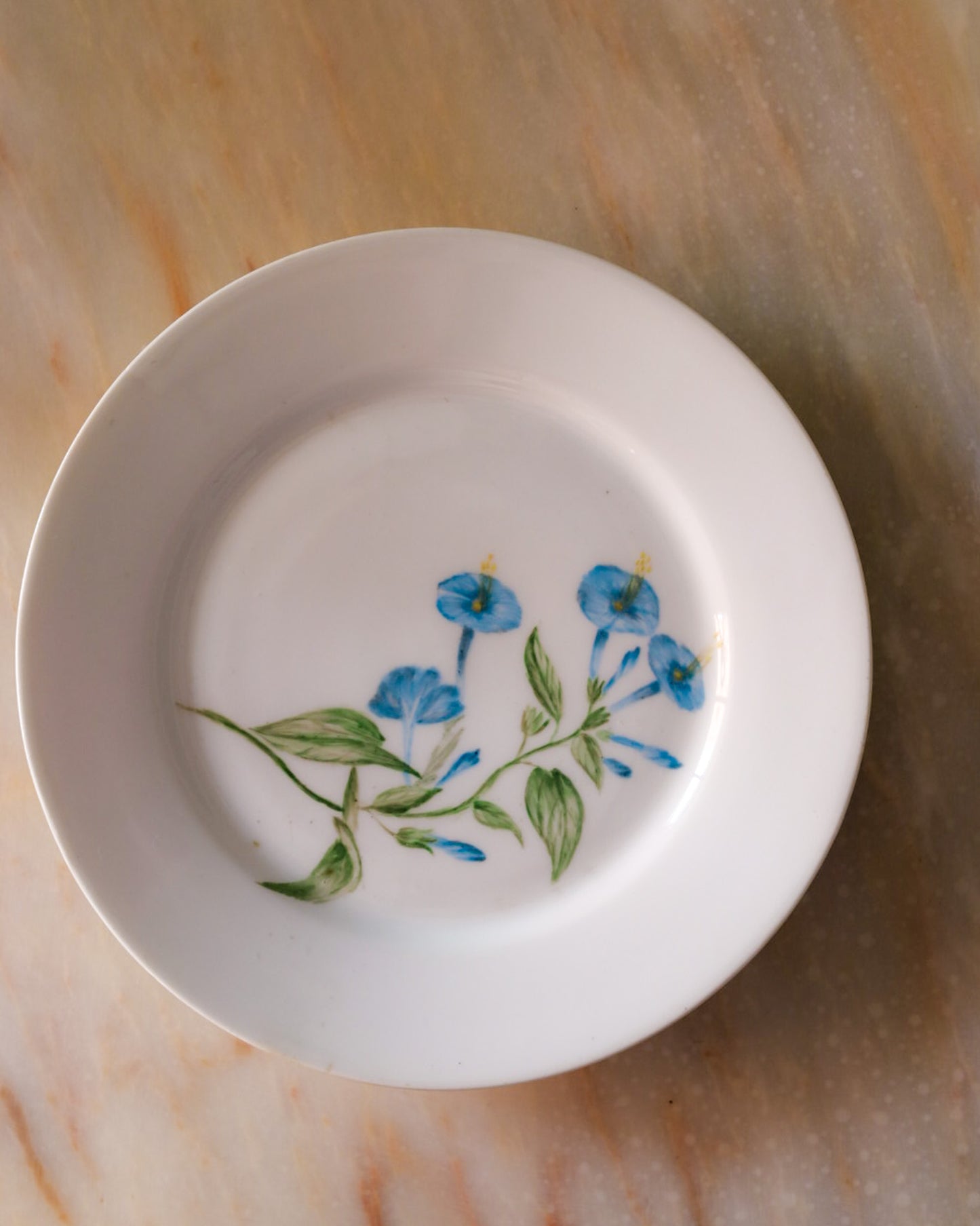 Set di sei piatti porcellana limoges dipinti a mano