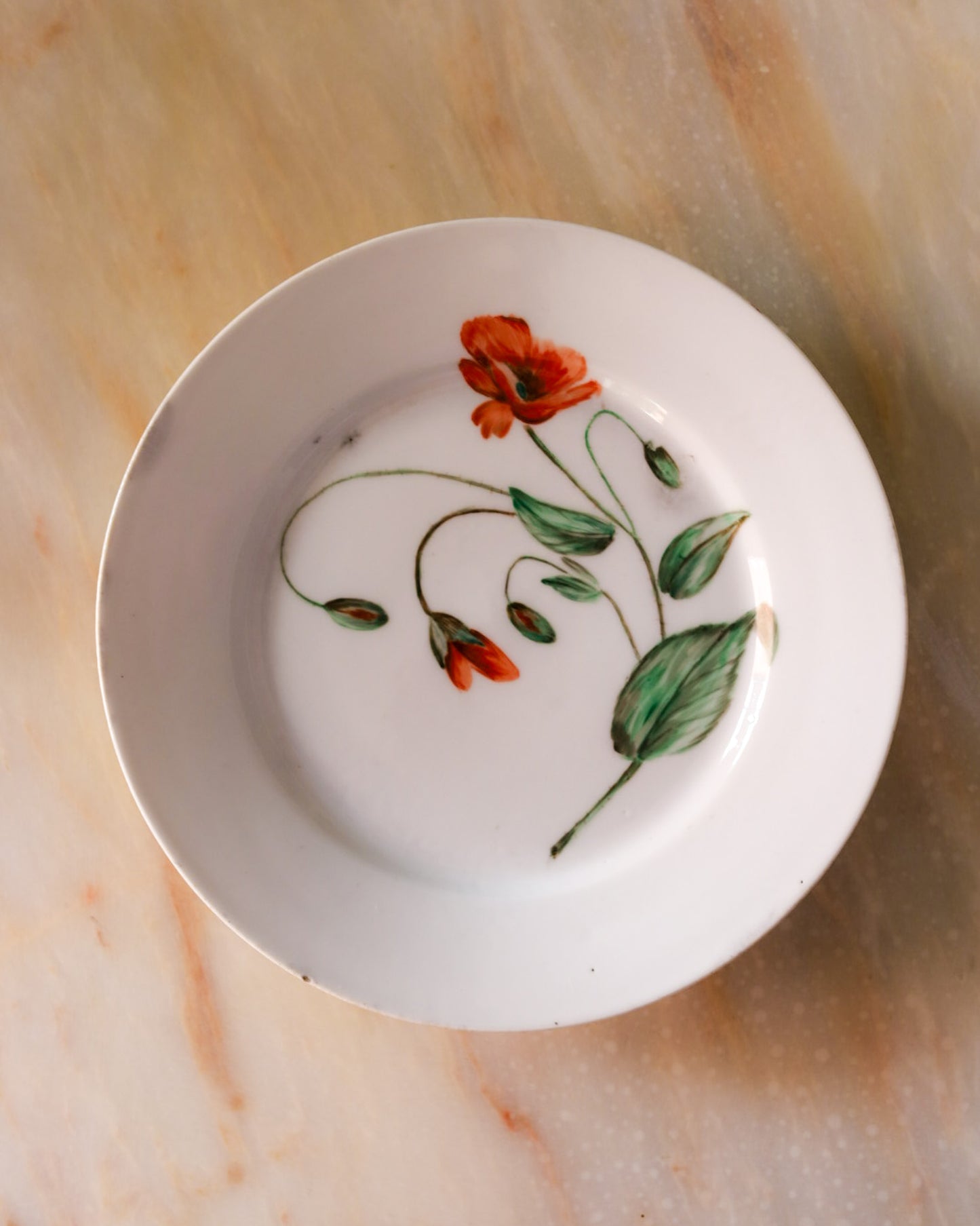 Set di sei piatti porcellana limoges dipinti a mano