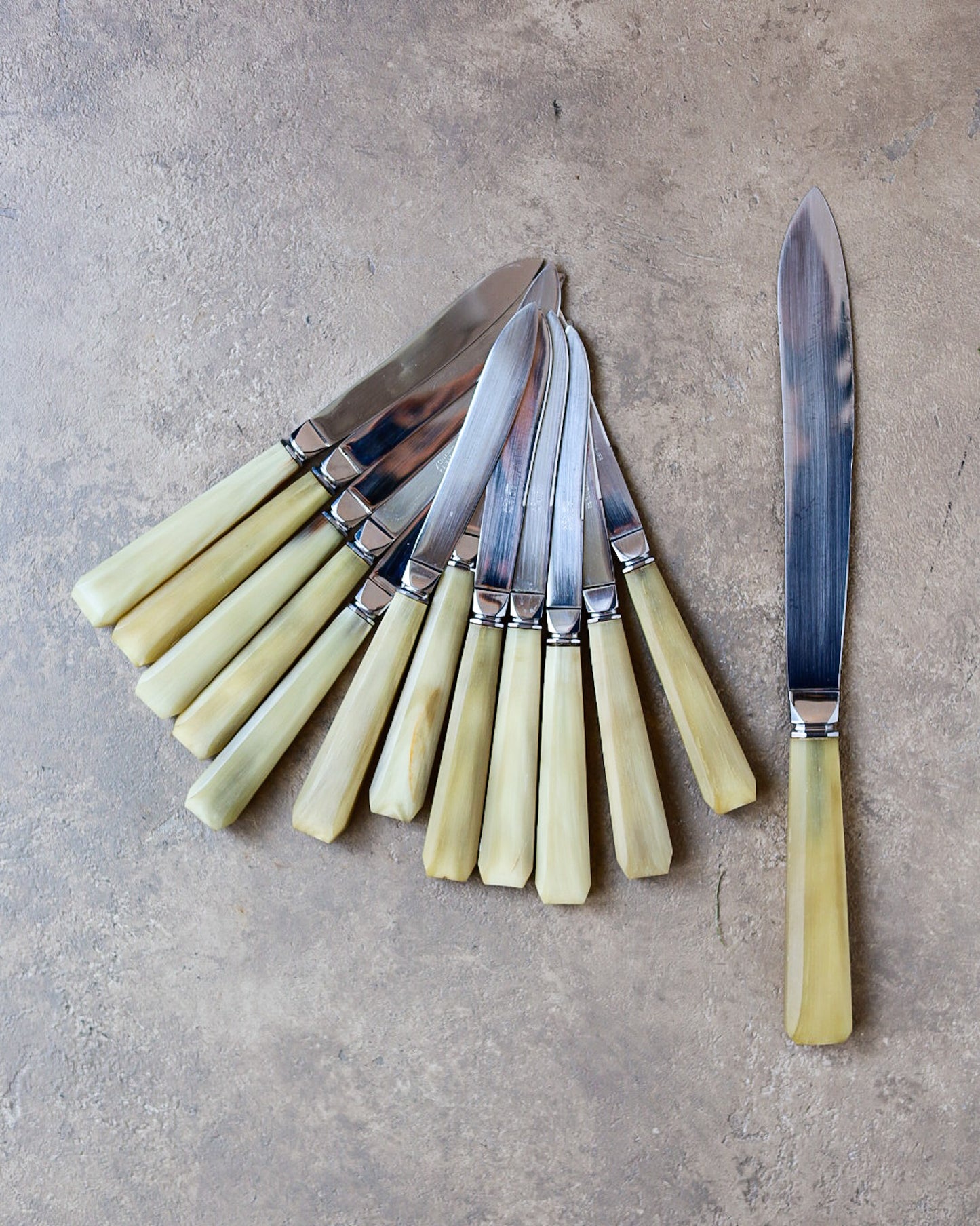 Set di 12 coltelli da dolce con coltello torta francese