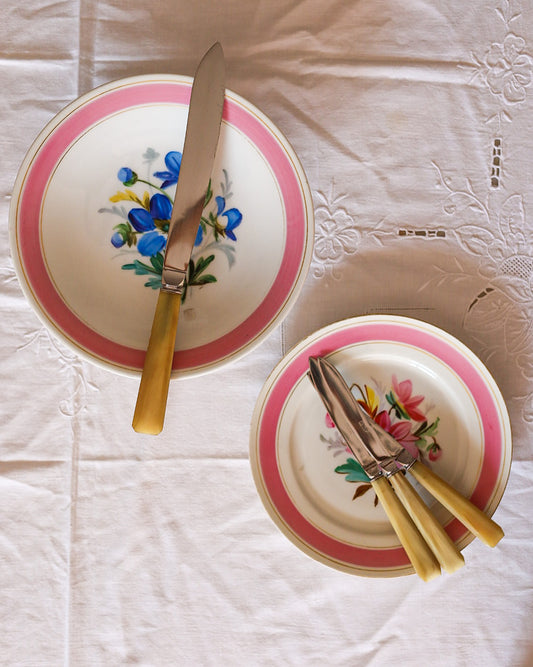 Set di 12 coltelli da dolce con coltello torta francese