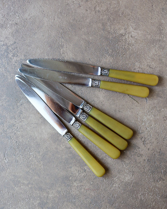 Set di 6 coltelli da pasto con manico in resina