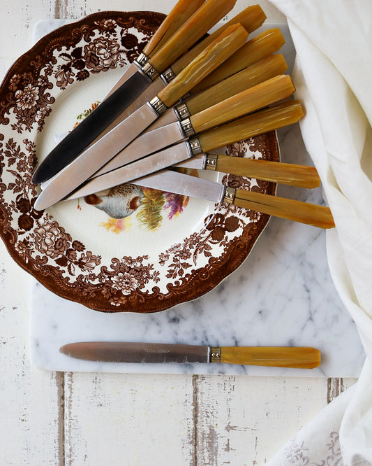 Set di 12 coltelli da pasto con manico in resina