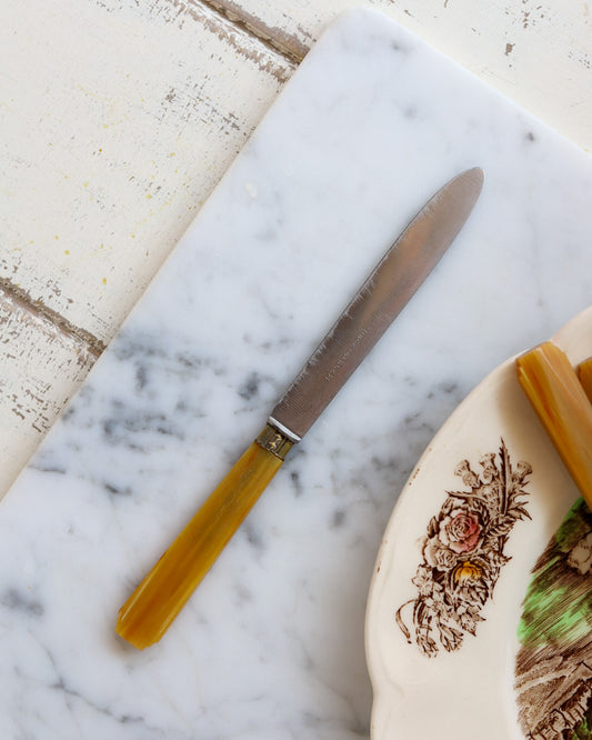 Set di 12 coltelli da dolce con manico in resina senape