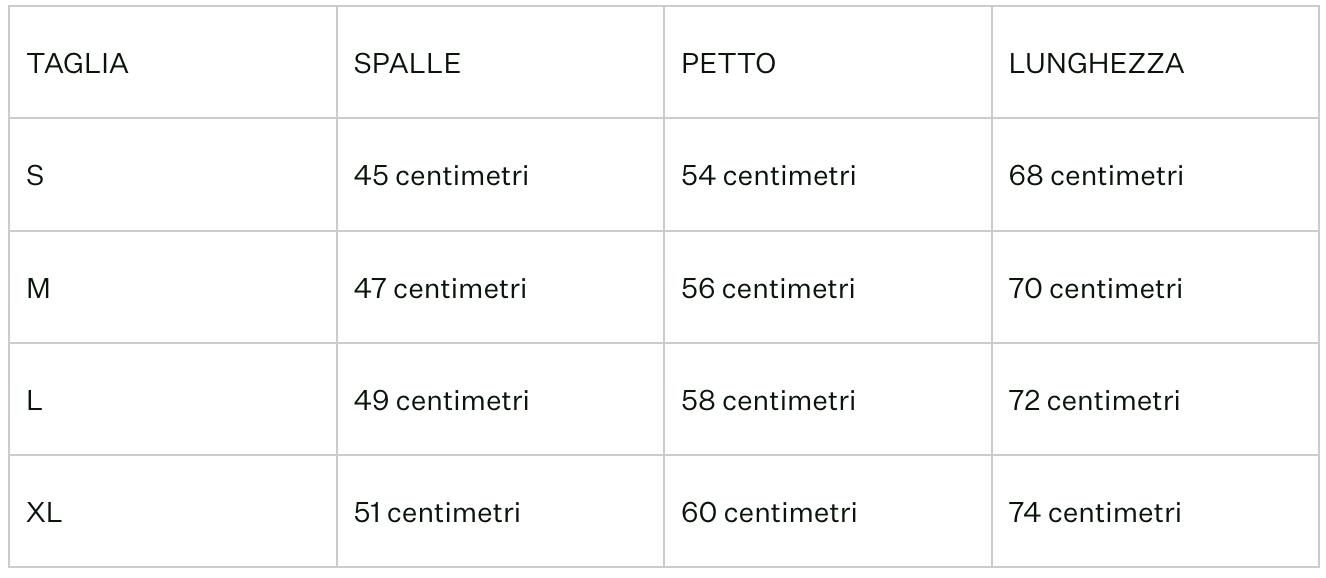 Maglia collo alto uomo in 100% cachemire cariaggi