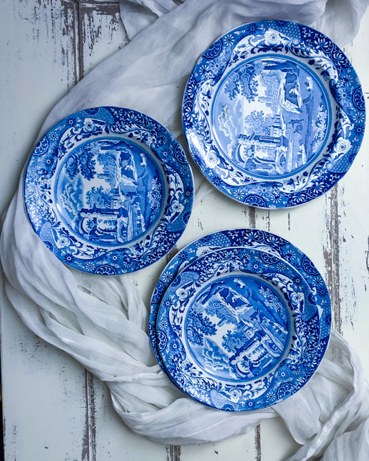 Set piatti marchio spode decoro italian