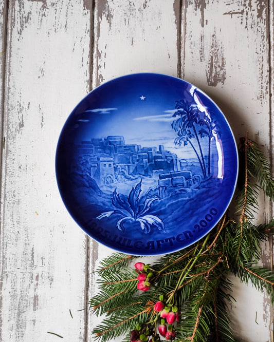 Piatti porcellana danese bing grondhal blu