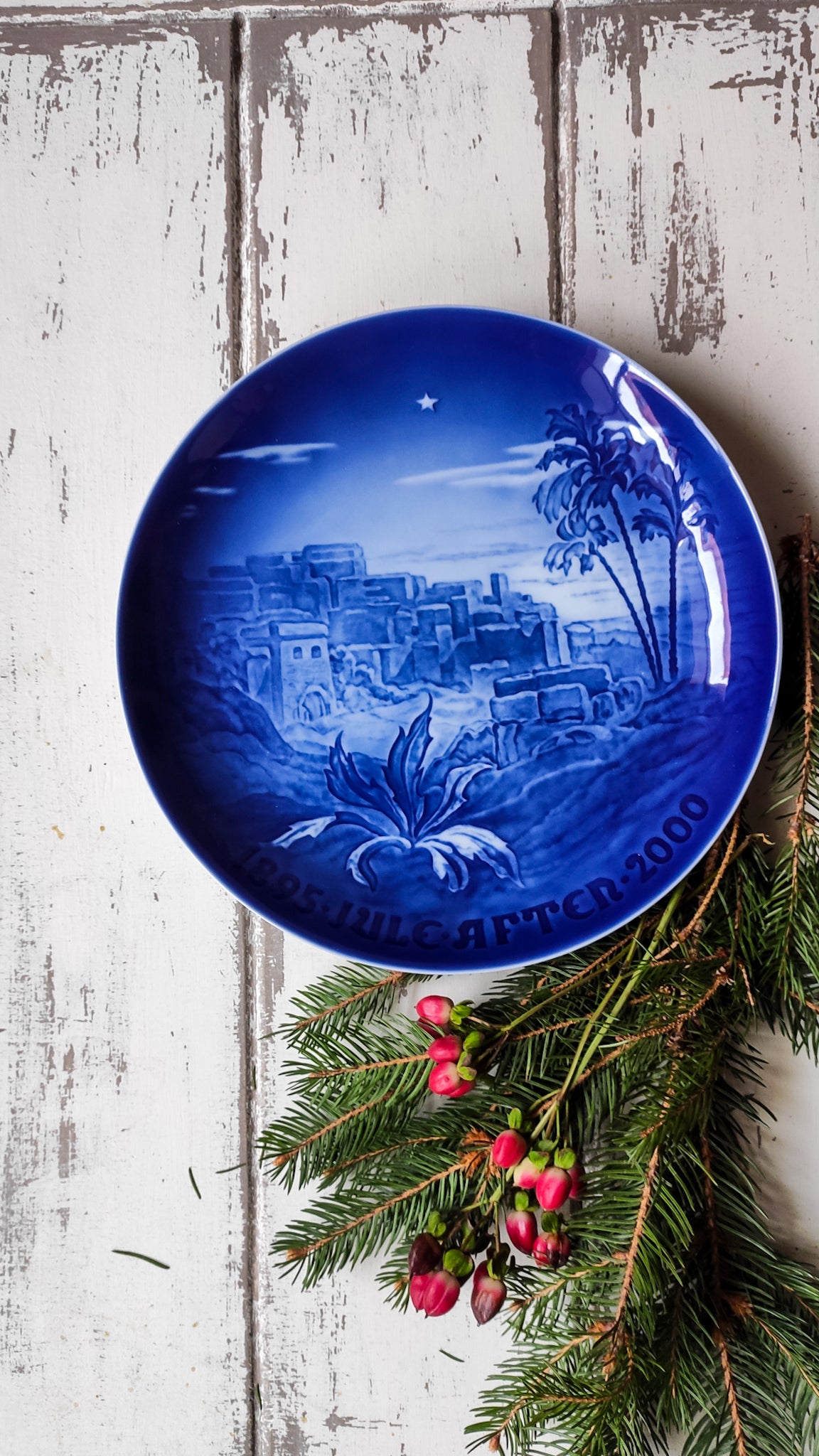 Piatti porcellana danese bing grondhal blu