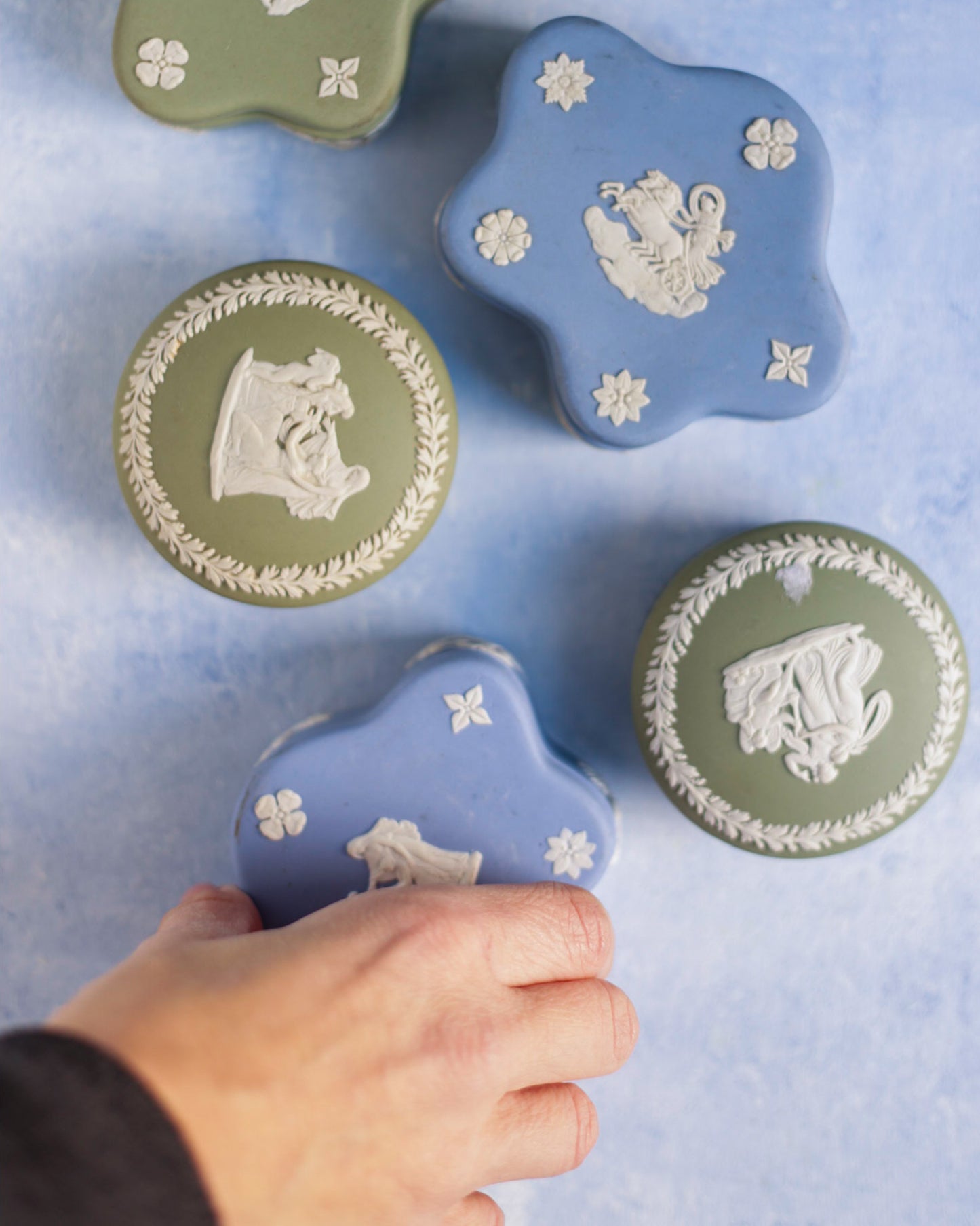 scatoline portaanelli wedgwood colorate