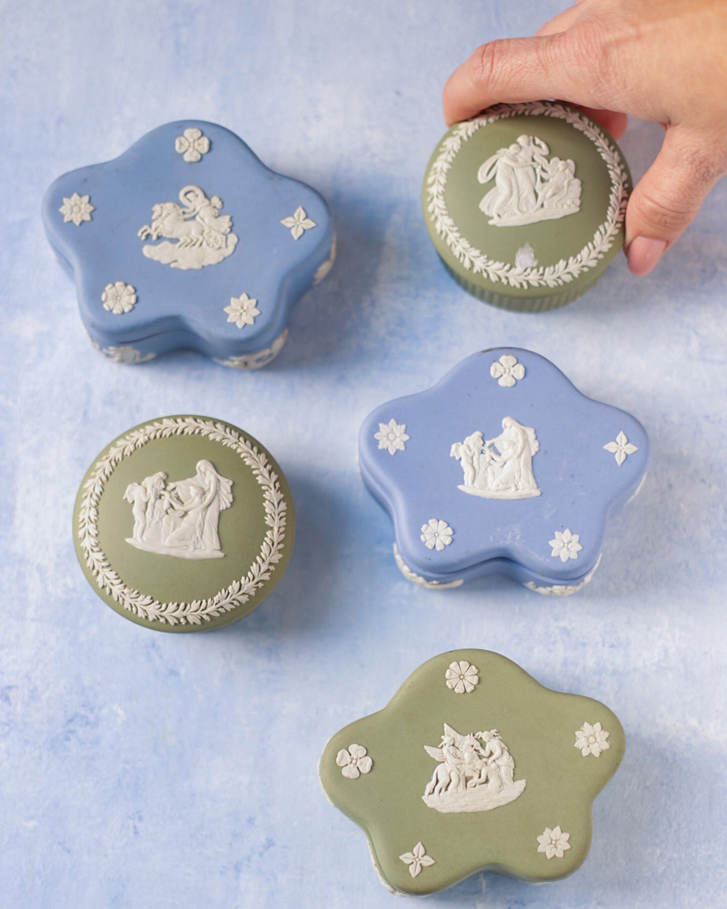 scatoline portaanelli wedgwood colorate