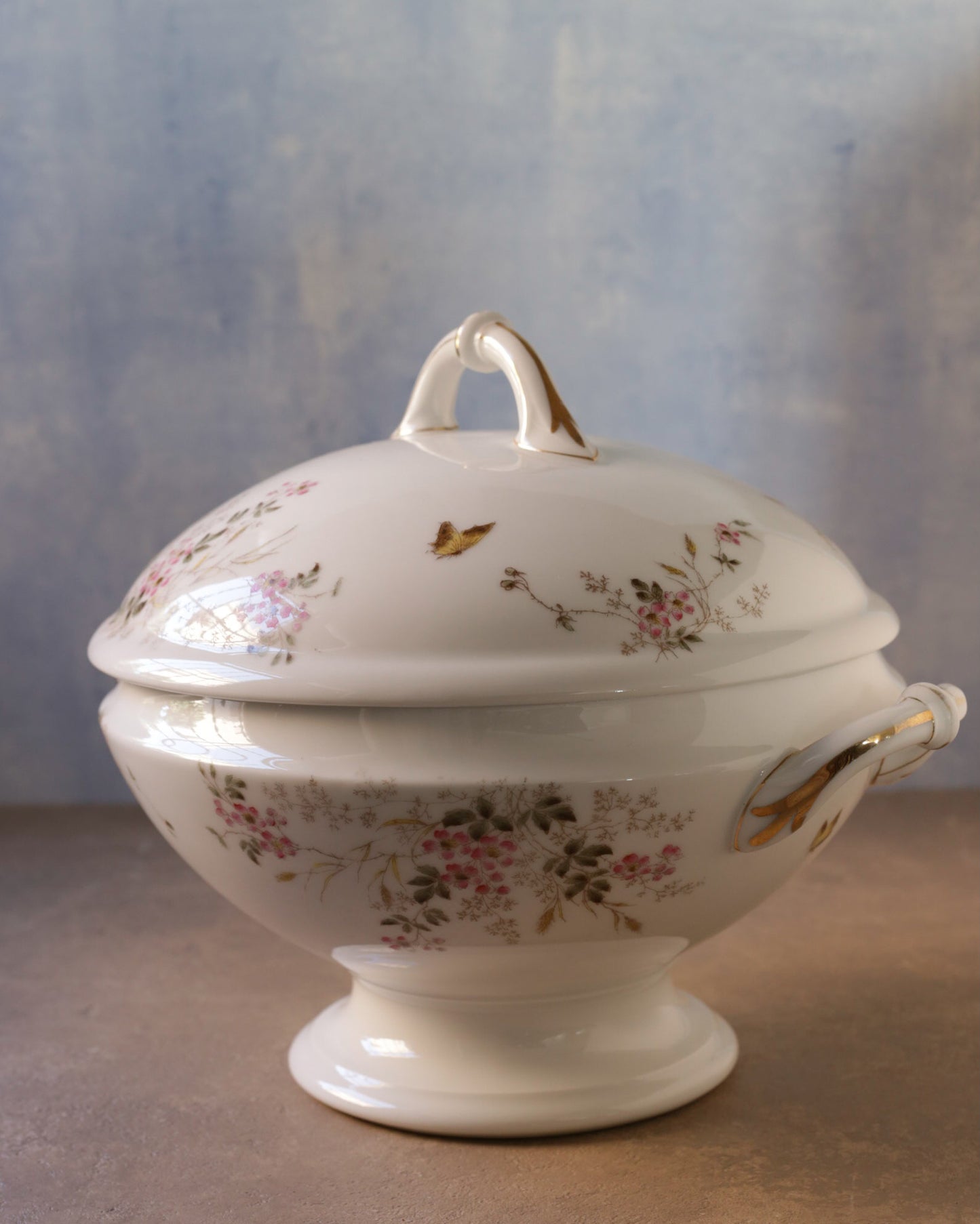 Zuppiera in porcellana bianca limoges con fiori primaverili