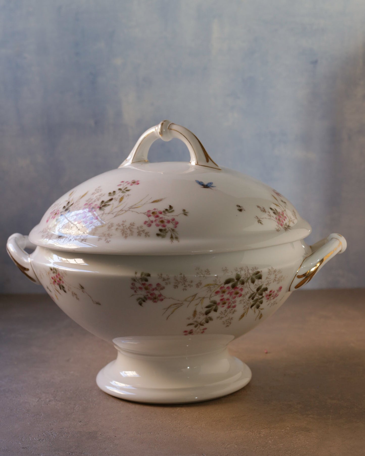 Zuppiera in porcellana bianca limoges con fiori primaverili