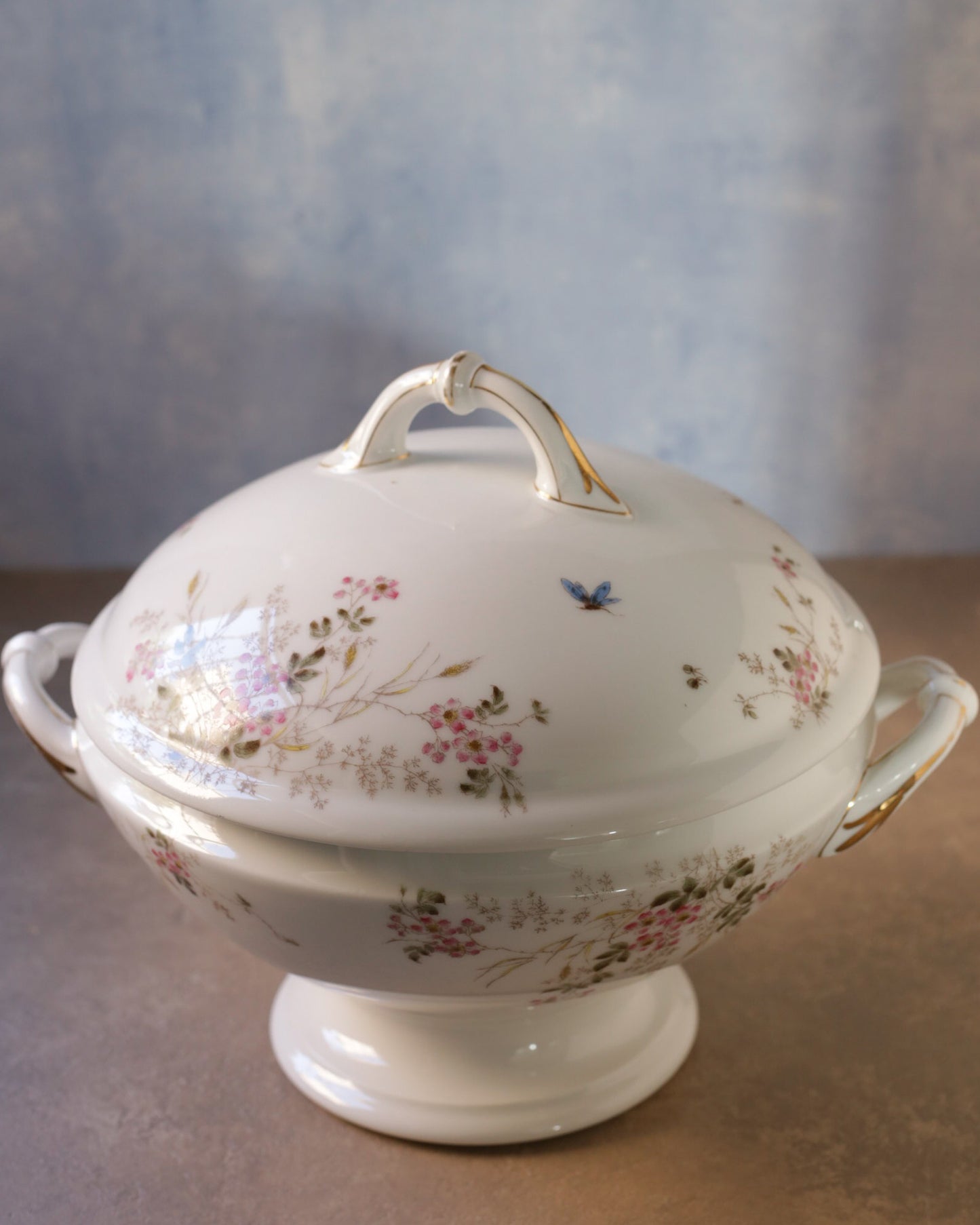 Zuppiera in porcellana bianca limoges con fiori primaverili