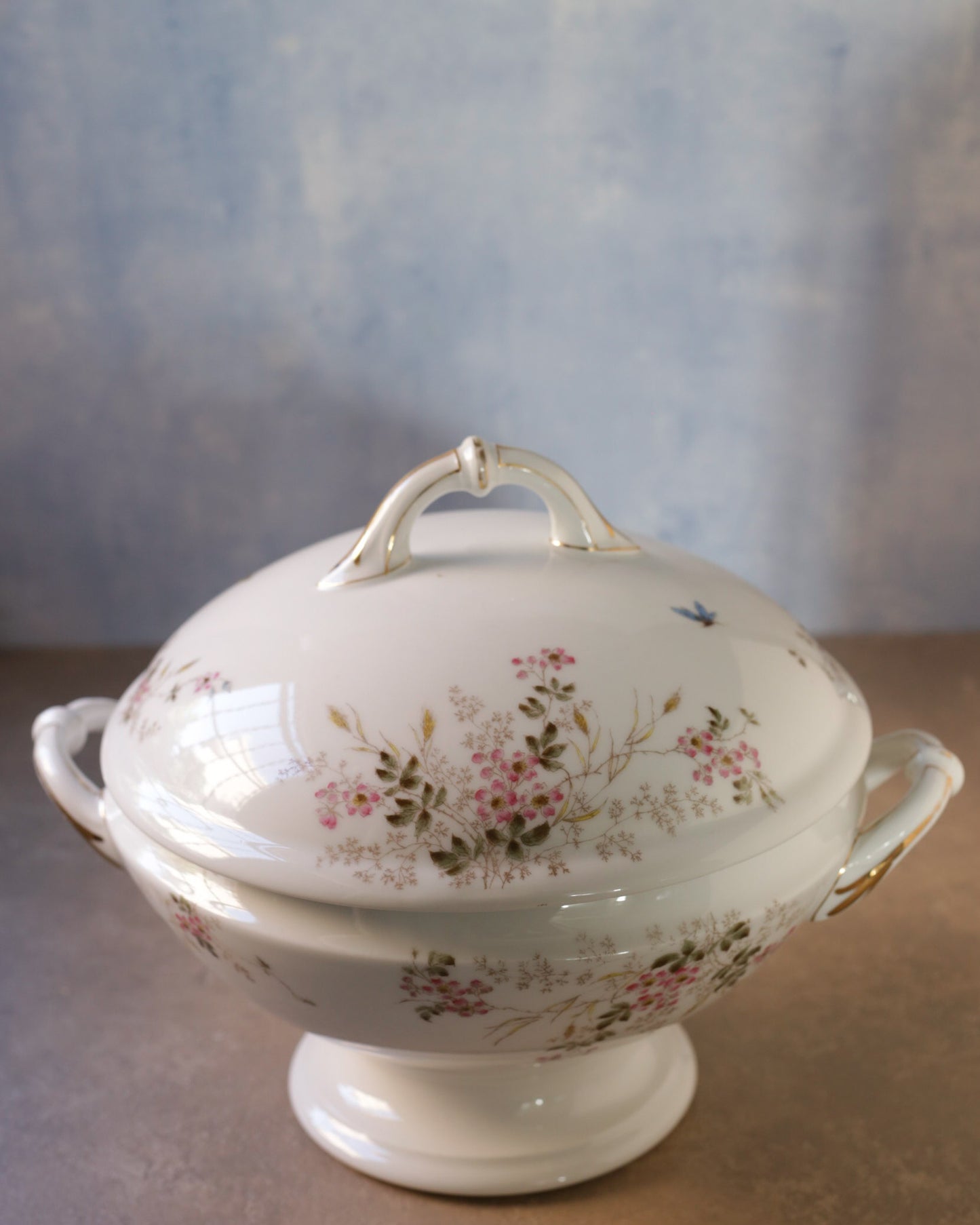 Zuppiera in porcellana bianca limoges con fiori primaverili
