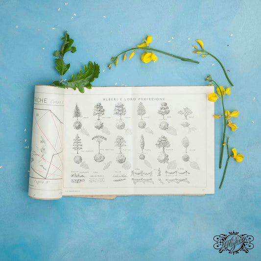 Book details