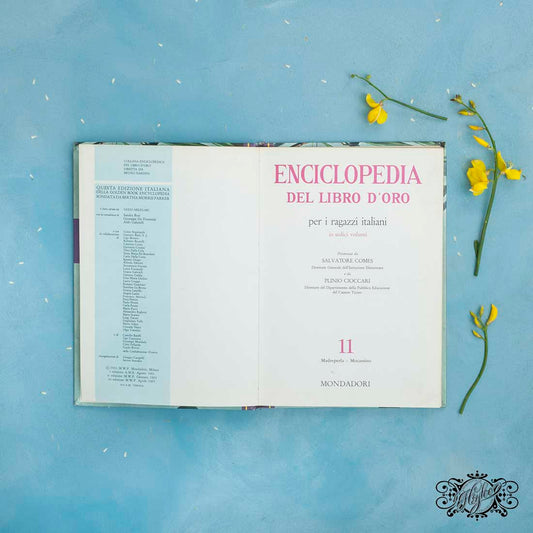Book volume 11 details view