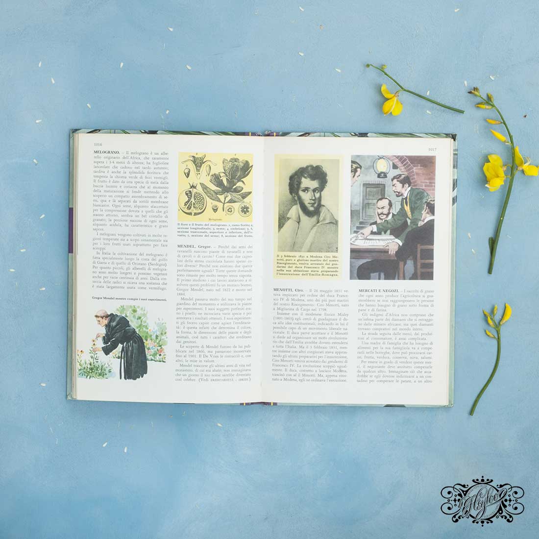 Book volume 11 details view 5
