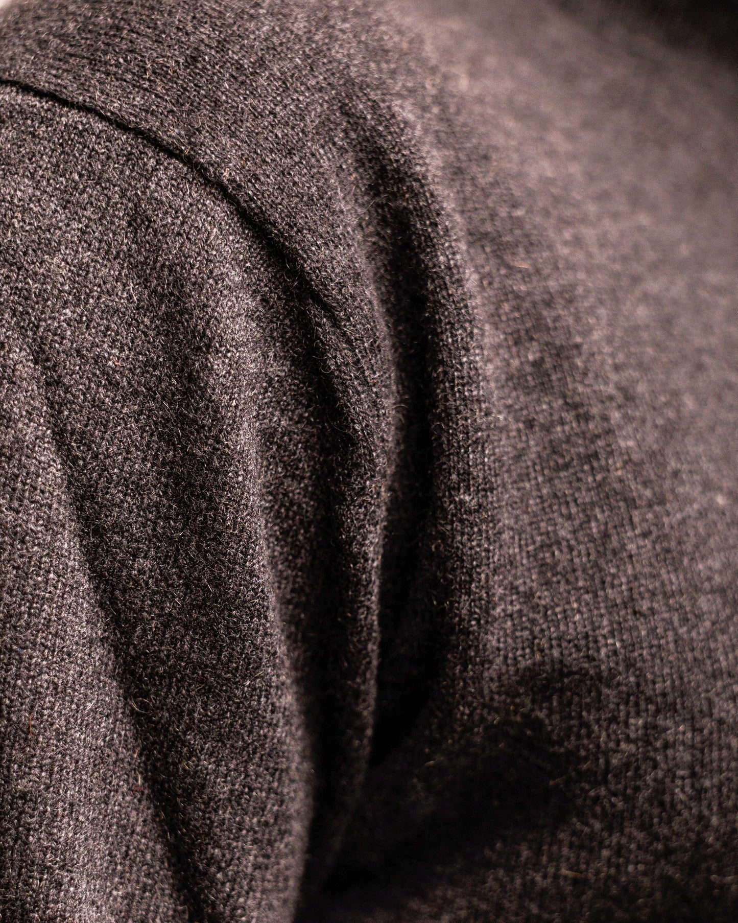 Maglia collo alto uomo in 100% cachemire cariaggi