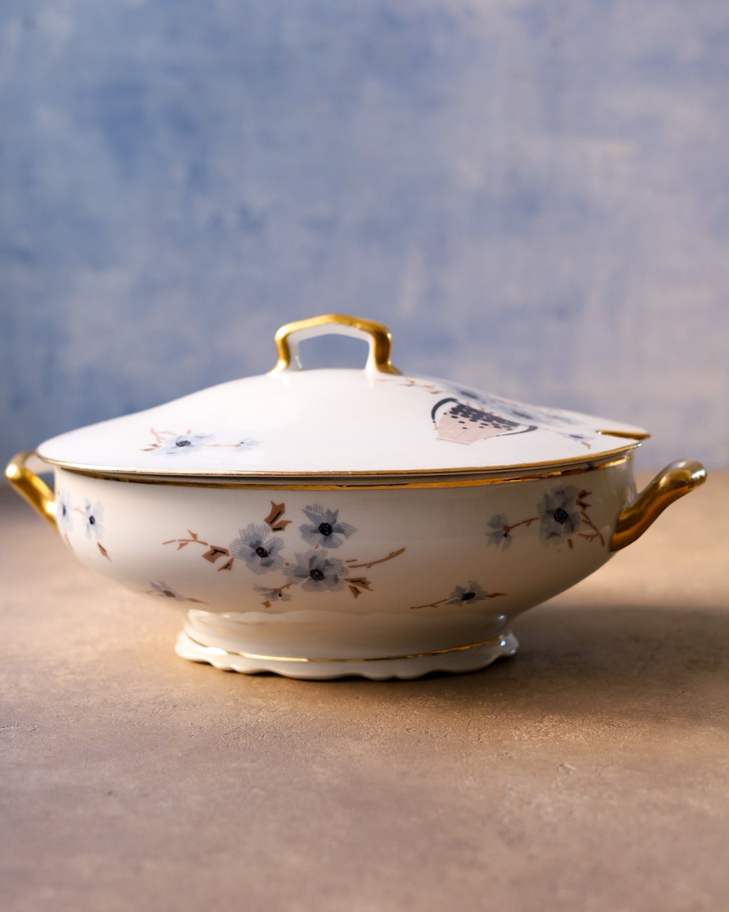 Grande servizio di piatti Limonges da 10 coperti con doppi piatti 69 pezzi