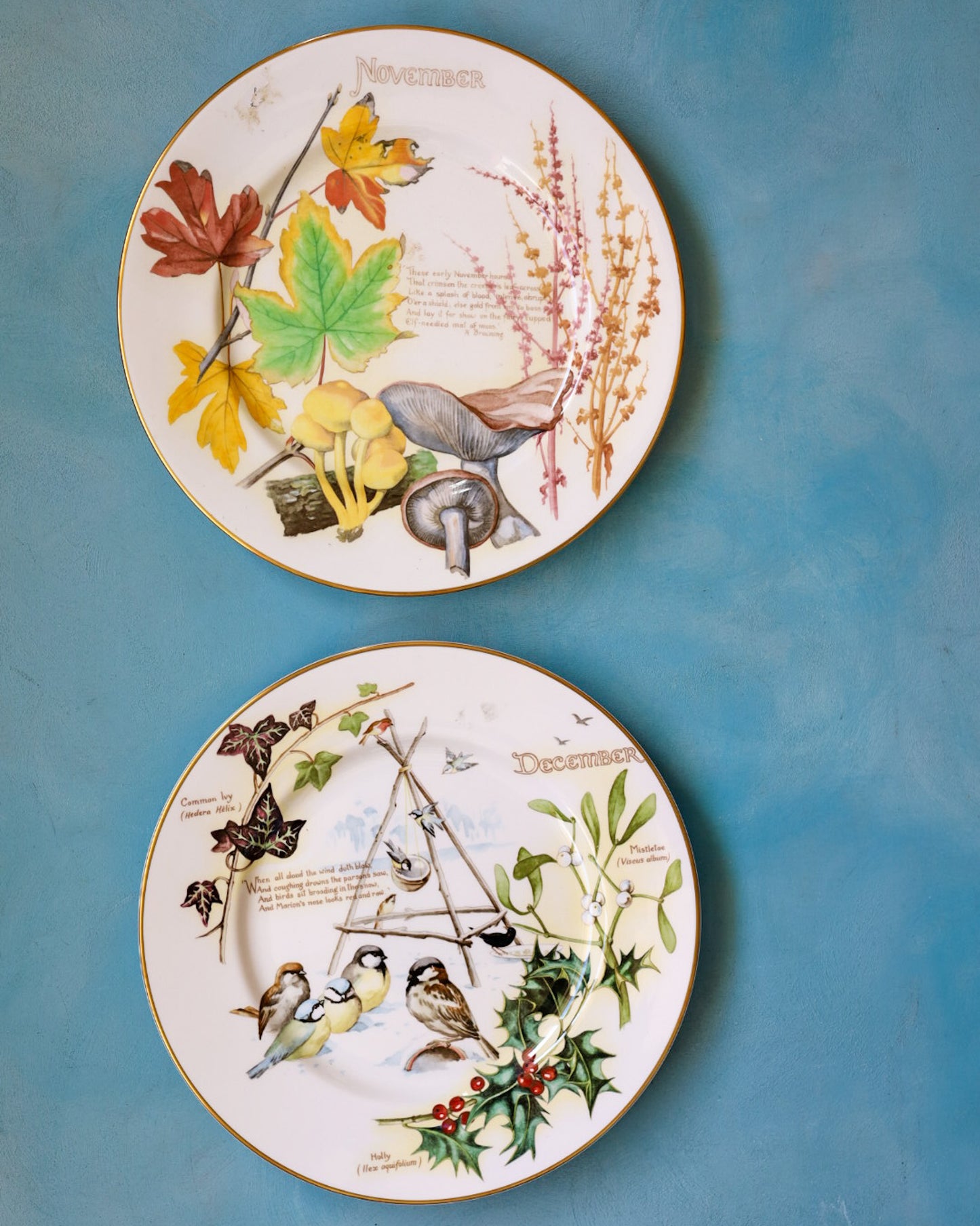 Collezione Completa "I Mesi dell'Anno" – 12 Piatti Decorativi Caverswall in Bone China con Illustrazioni Naturalistiche