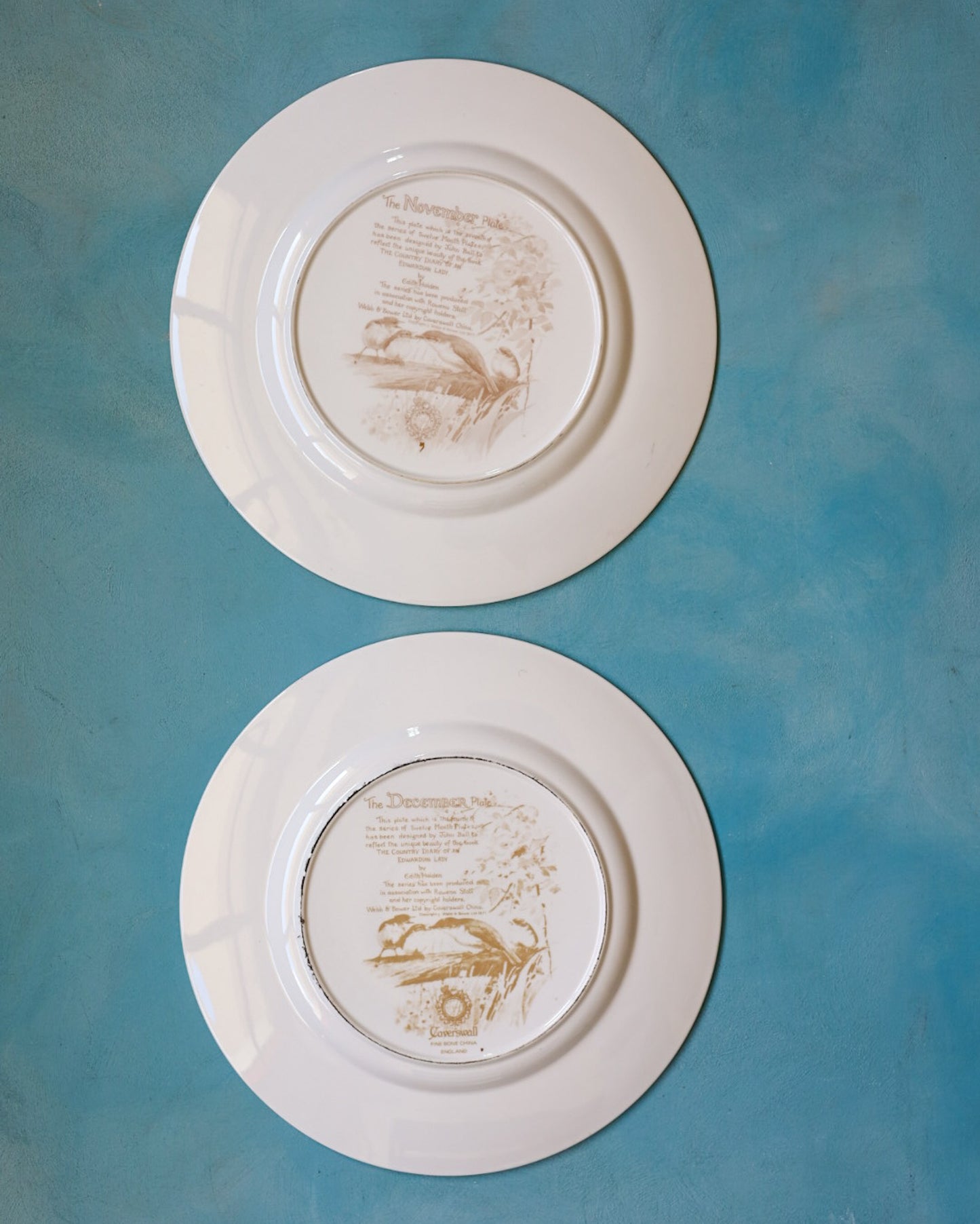 Collezione Completa "I Mesi dell'Anno" – 12 Piatti Decorativi Caverswall in Bone China con Illustrazioni Naturalistiche