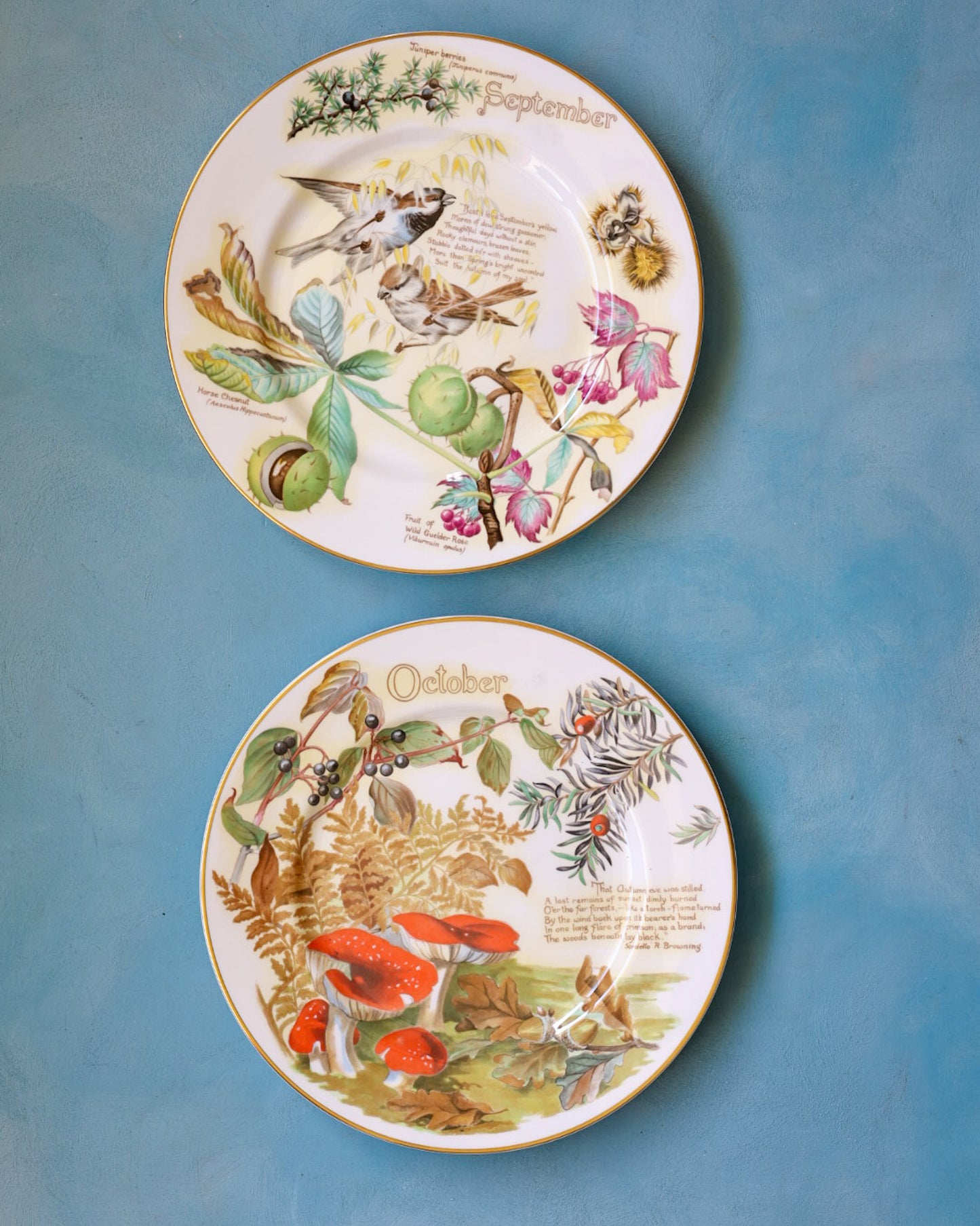 Collezione Completa "I Mesi dell'Anno" – 12 Piatti Decorativi Caverswall in Bone China con Illustrazioni Naturalistiche