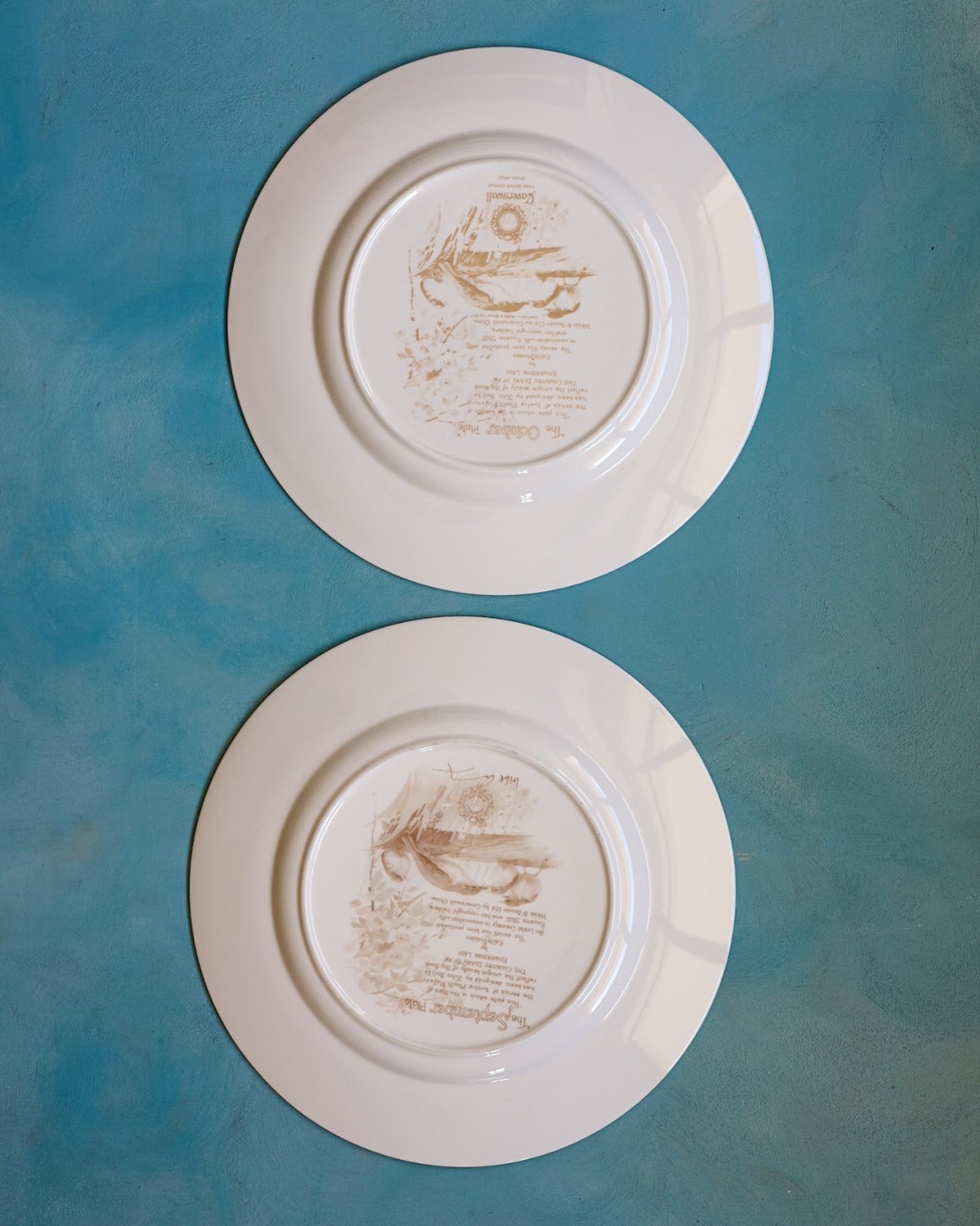 Collezione Completa "I Mesi dell'Anno" – 12 Piatti Decorativi Caverswall in Bone China con Illustrazioni Naturalistiche