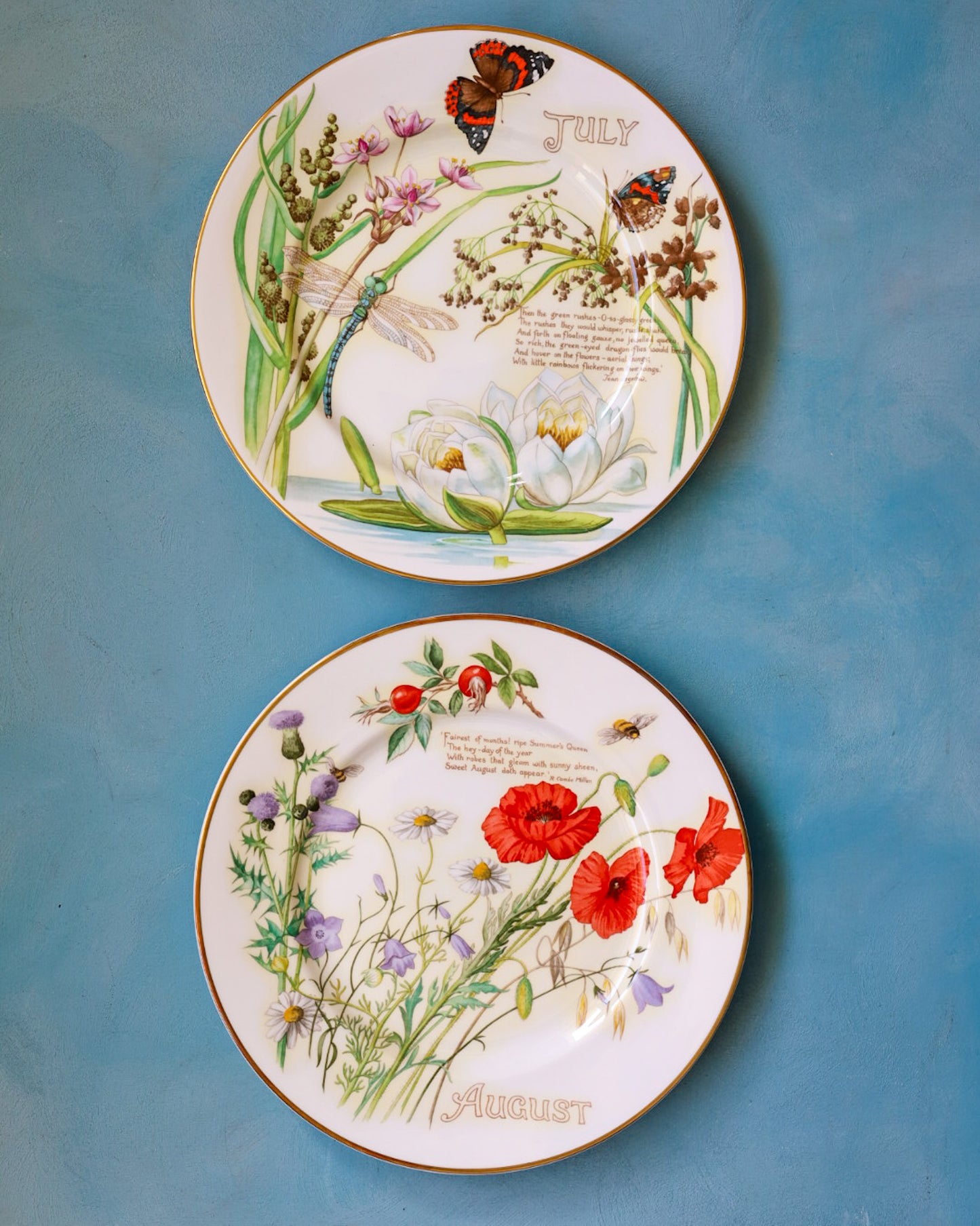 Collezione Completa "I Mesi dell'Anno" – 12 Piatti Decorativi Caverswall in Bone China con Illustrazioni Naturalistiche