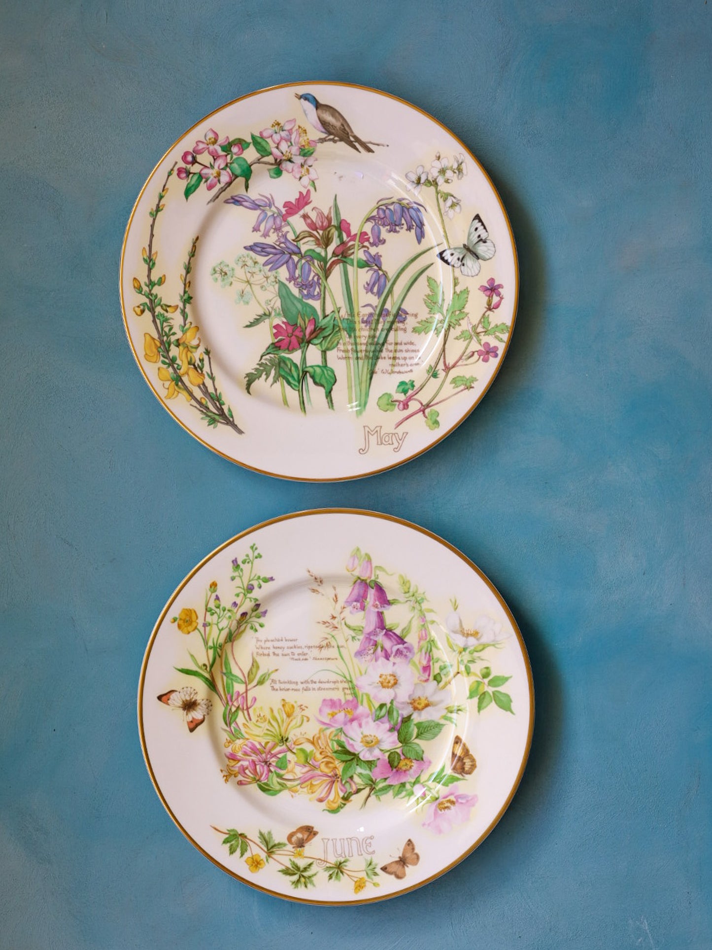 Collezione Completa "I Mesi dell'Anno" – 12 Piatti Decorativi Caverswall in Bone China con Illustrazioni Naturalistiche