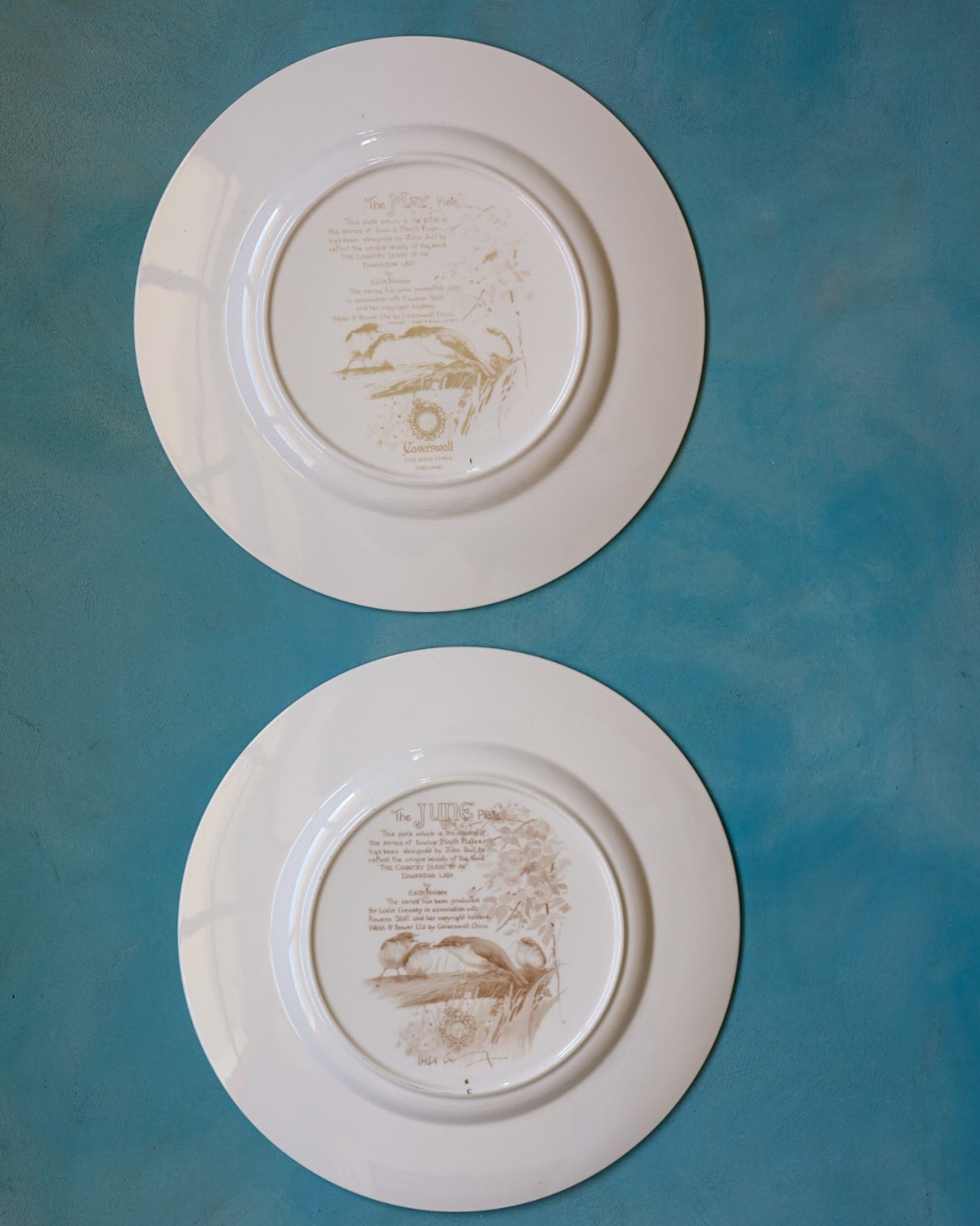Collezione Completa "I Mesi dell'Anno" – 12 Piatti Decorativi Caverswall in Bone China con Illustrazioni Naturalistiche