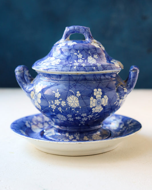 Salsiera Spode con fiori blu
