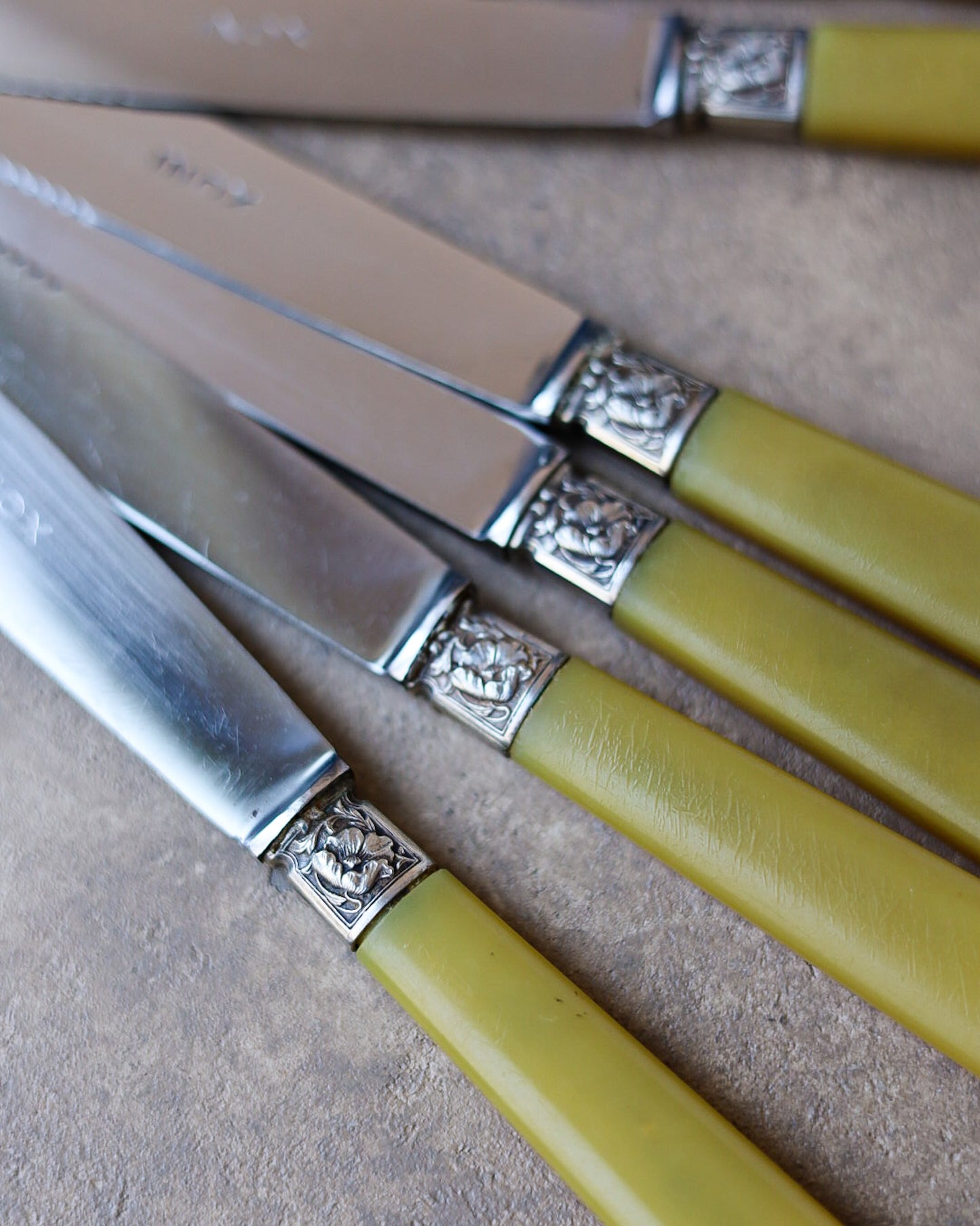 Set di 6 coltelli da pasto con manico in resina