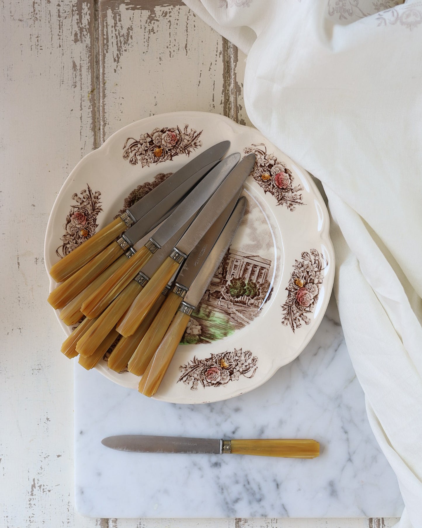 Set di 12 coltelli da dolce con manico in resina senape