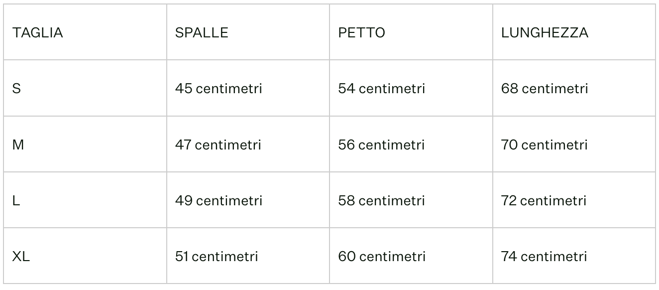 Maglia girocollo uomo in 100% cachemire cariaggi
