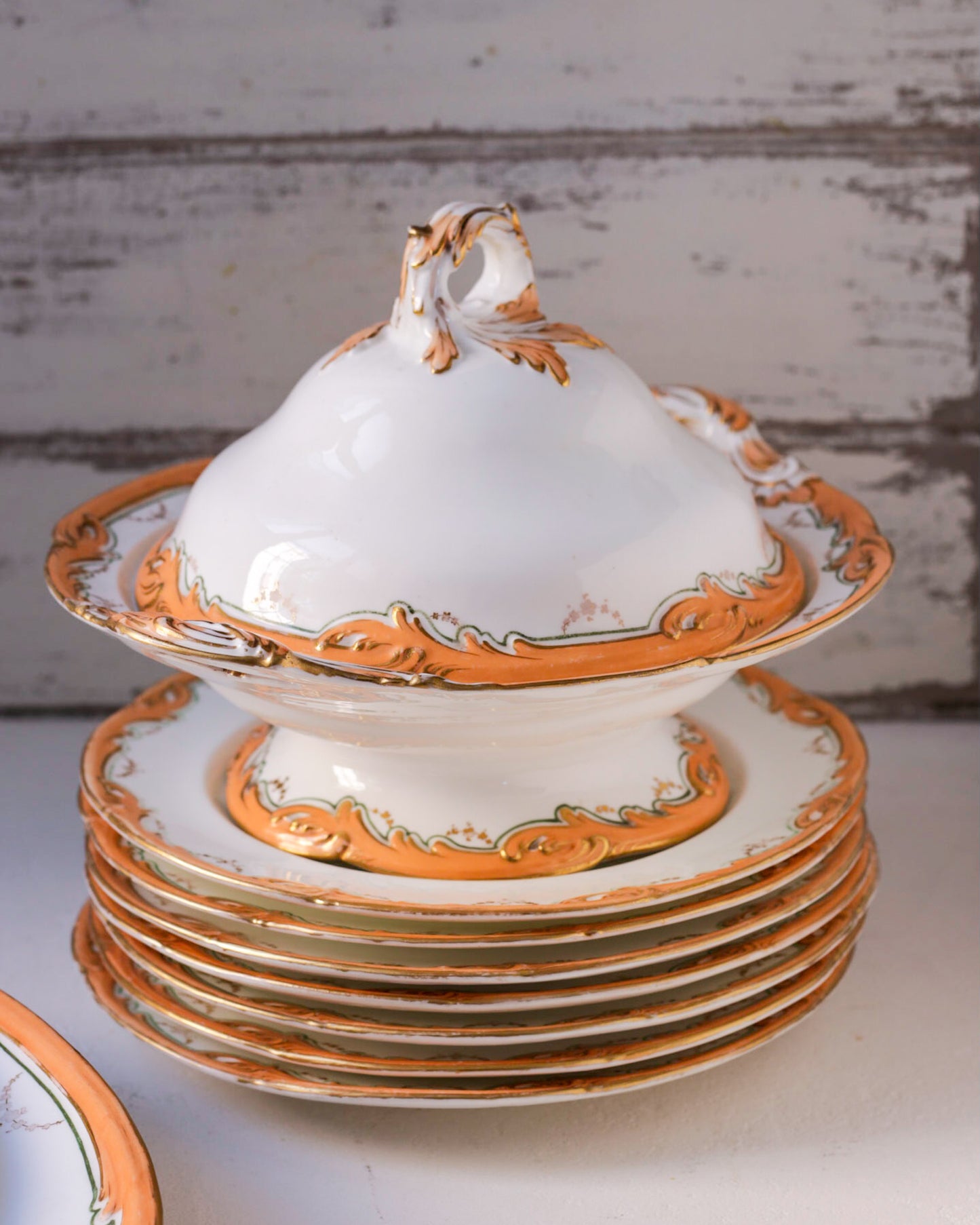 Servizio piatti con bordo aragosta porcellana inglese