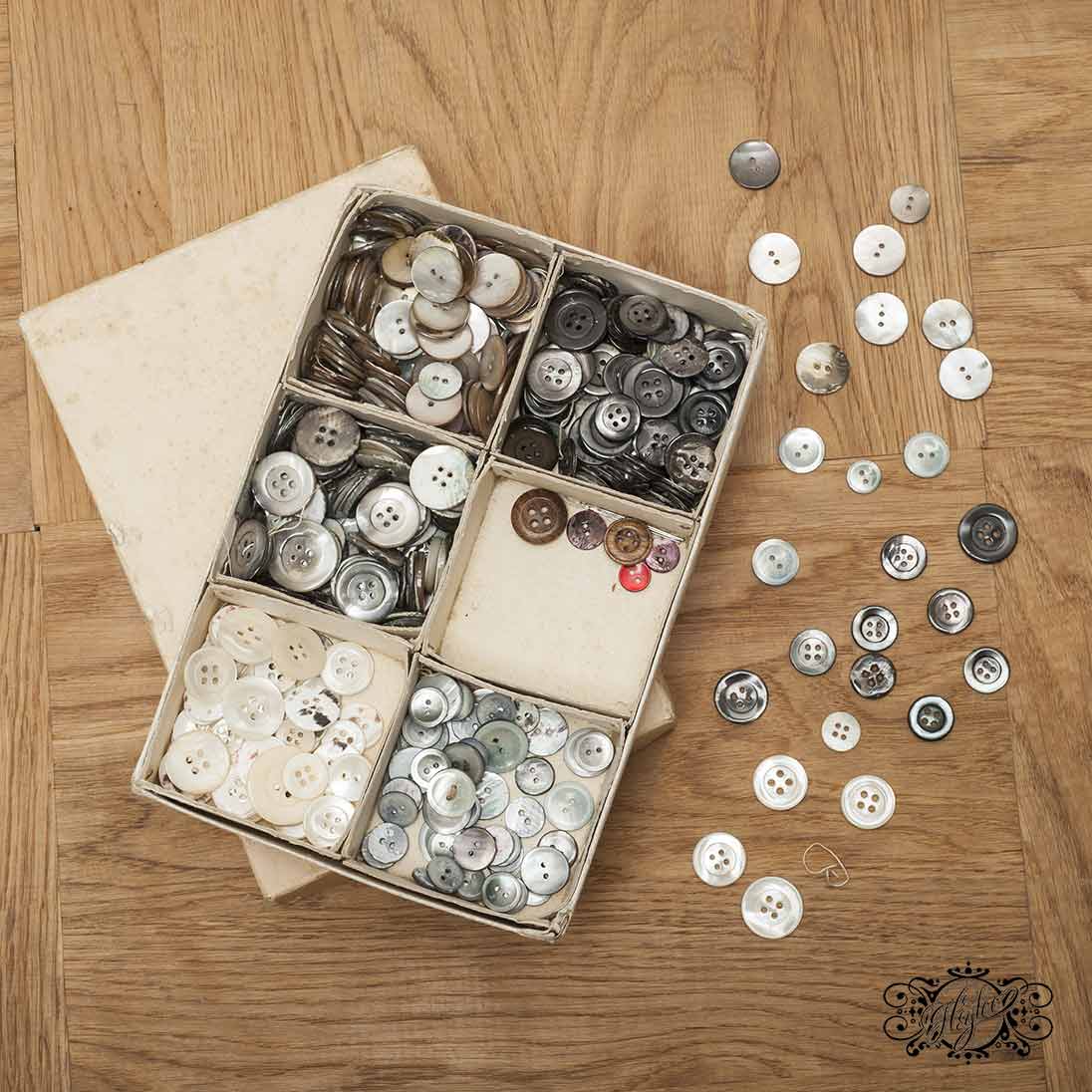 Real shell buttons box
