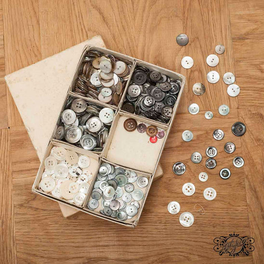 Real shell buttons box